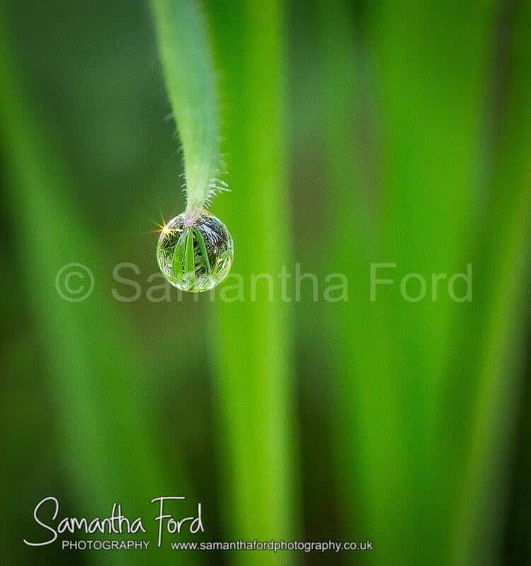 Raindrop Reflections